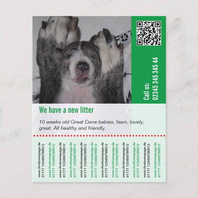 Welpen verkaufen flyer (Vorne)