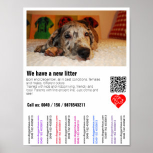 Welpen-Verkaufsflyer mit QR-Code Poster