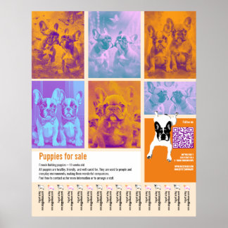 Welpen-Verkaufsplakat Vorlage 6 Bilder QR-Code Poster