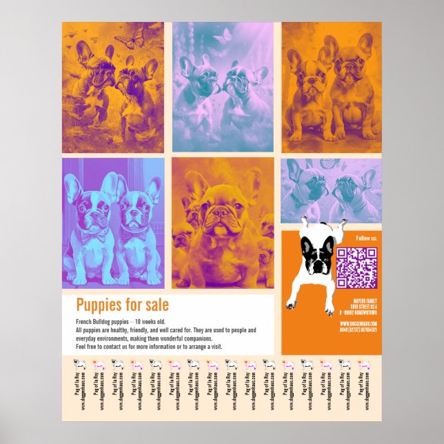 Welpen-Verkaufsplakat Vorlage 6 Bilder QR-Code  Poster (Vorne)