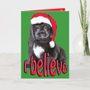Welpen Weihnachten