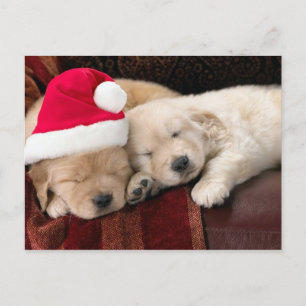 Welpen-Weihnachten Feiertagspostkarte