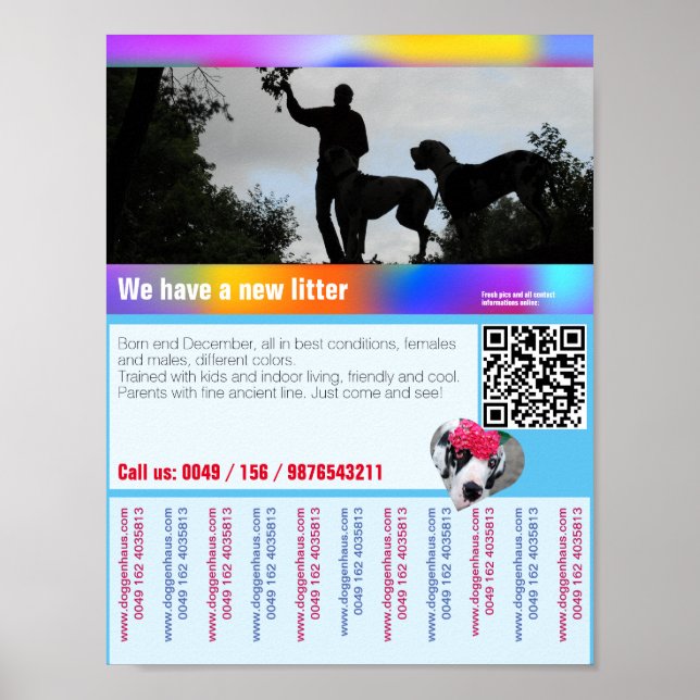 Welpen zum Verkauf Flyer mit QR-Code Poster (Vorne)
