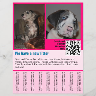 Welpen zum Verkauf Flyer Vorlage QR-Code