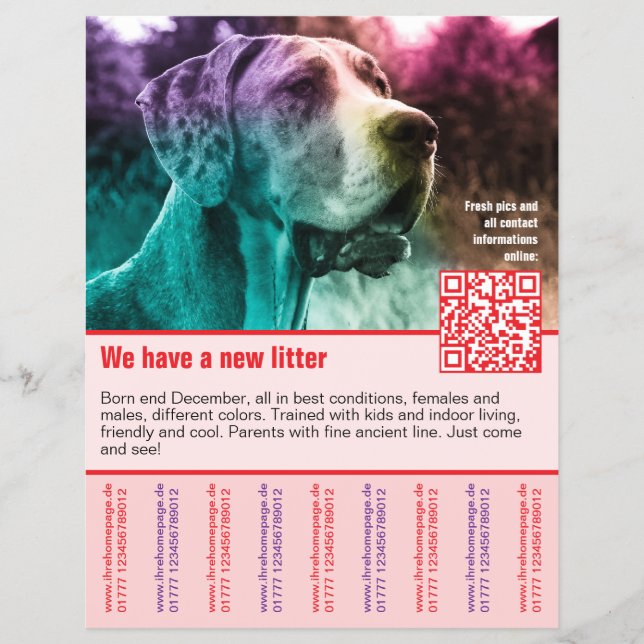 Welpen zum Verkauf Flyer Vorlage QR-Code (Vorne)