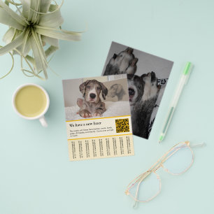 Welpen zum Verkauf Flyer Vorlagen