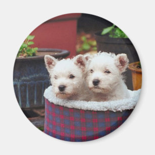 Welpenfreunde Magnet