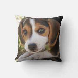 Welpenhund-Beagle Kissen