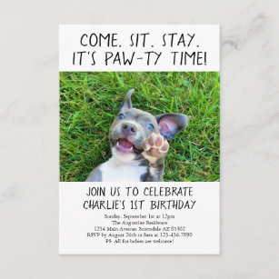 Welpenhund Geburtstagsparty Foto Einladung