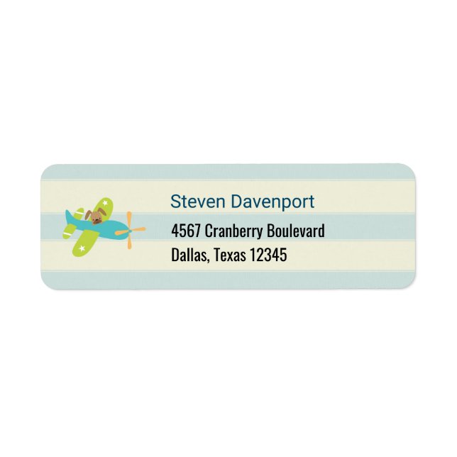 Welpenhund in einem Spielzeugflugzeug Niedlich (Vorne)