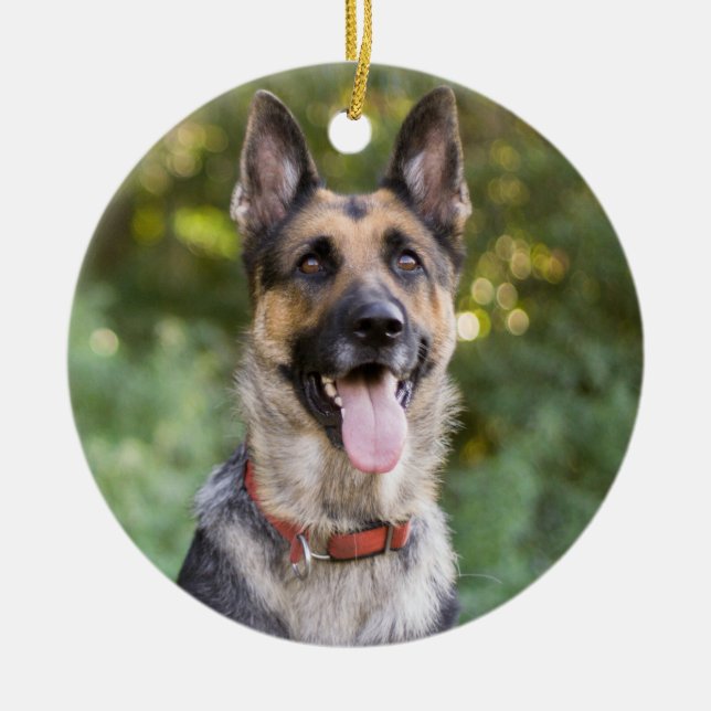 Welpenhund Keramik Ornament (Vorne)