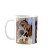 Welpenhund Lover 3 Benutzerdefinierte Foto