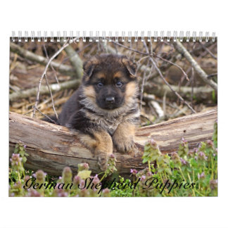 Welpenkalender 2016 kalender