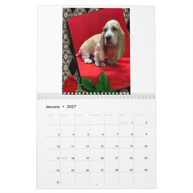 Welpenkalender Kalender (Jan 2027)
