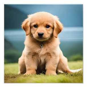 Welpenkinderzimmer & Kinderzimmer Drucke