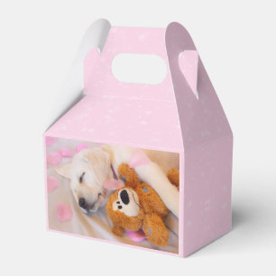 Welpenkuddles 02 geschenkschachtel