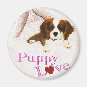Welpenliebe Cavalier King Charles Spaniel Magnet