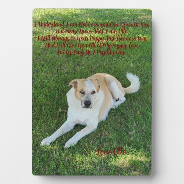 Welpenliebe Fotoplatte (Vorderseite)