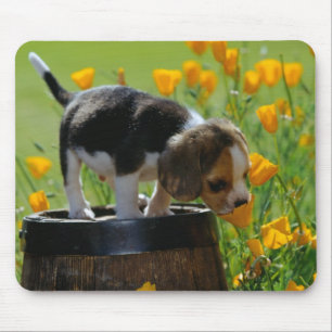 WelpenMausunterlage Mousepad