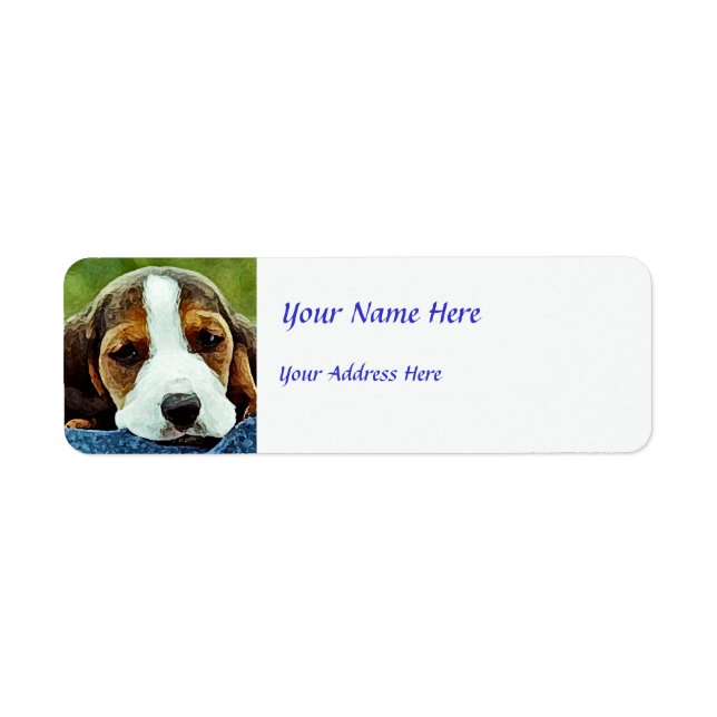 Welpenruhe im Basset - Braunschwarz und Weiß (Vorne)