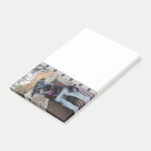 Welpenwartungen auf den Stühlen Postnotizen Post-it Klebezettel