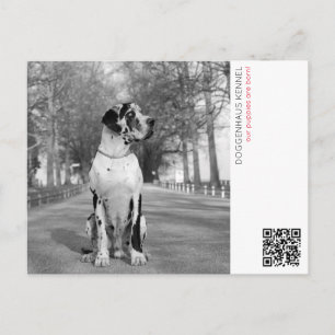 Welpostkarte für Welpen Postkarte