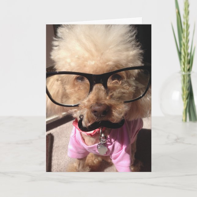 Welppy Birthday Card Karte (Vorderseite)