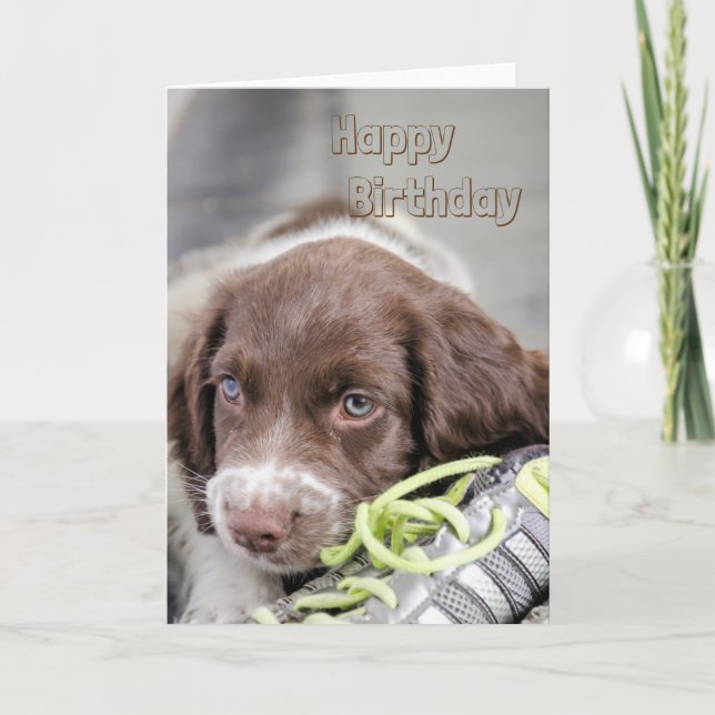 Welppy Birthday Card Karte (Vorderseite)