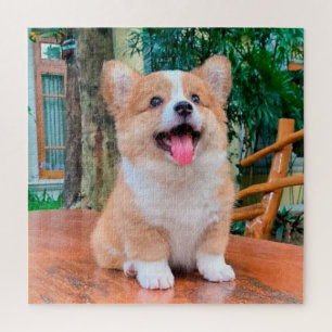 Welsch-Corgi-Welpe Puzzle