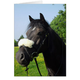 Welsh Abschnitt D
