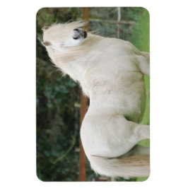 Welsh Cob Pferd Flexible Magnet