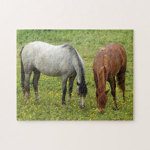 Welsh Cobs Pferd Puzzle