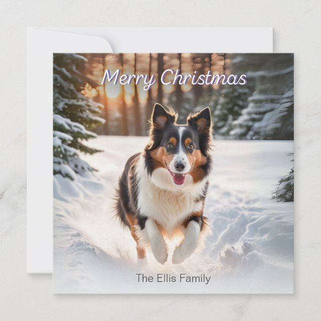Welsh Collie Dog Snow Watercolor Frohe Weihnachten (Vorderseite)