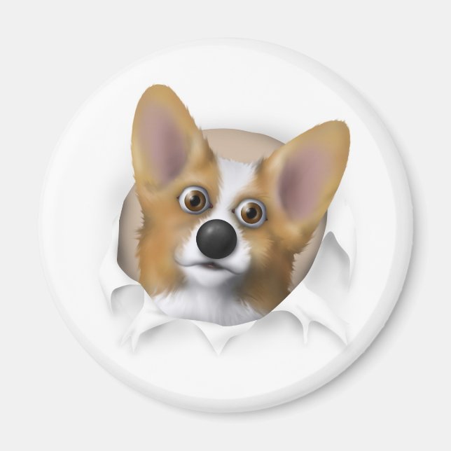 Welsh Corgi 1 Buout Magnet (Vorne)