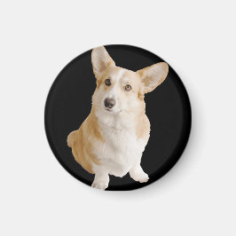 Welsh Corgi Dog Magnet