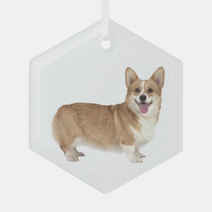Welsh Corgi Dog Pet Animal Glass Ornament Aus Glas