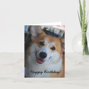 Welsh Corgi Happy Birthday Card Karte