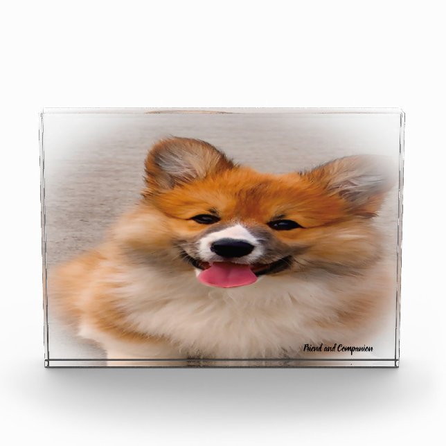Welsh Corgi Hund. Fotoblock (Vorderseite)