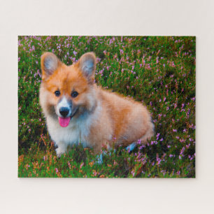 Welsh Corgi Hunde Jigsaws. Puzzle