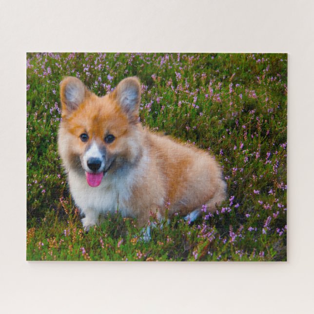 Welsh Corgi Hunde Jigsaws. Puzzle (Horizontal)