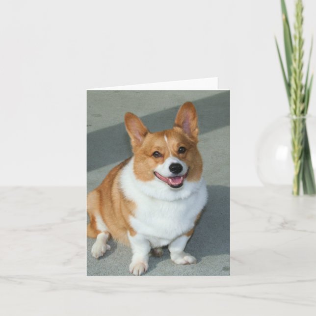 Welsh Corgi notecard Karte (Vorderseite)