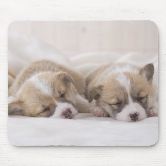 Welsh Corgi Welppies Mousepad (Vorne)