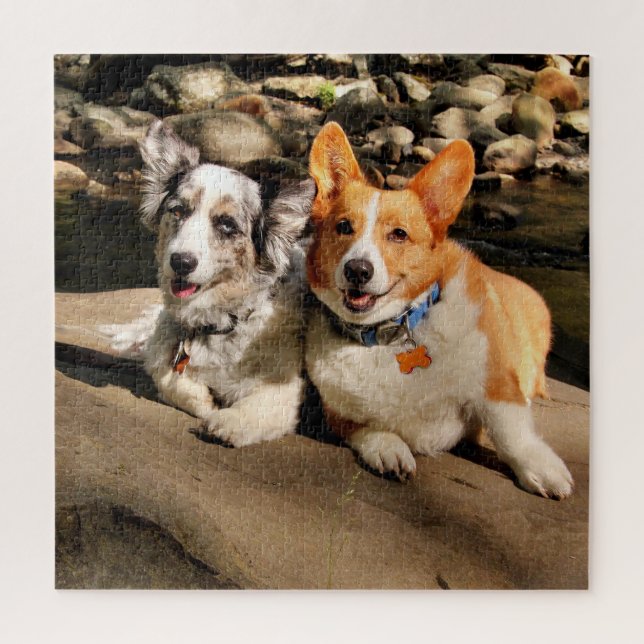 Welsh Corgis Puzzle (Vertikal)