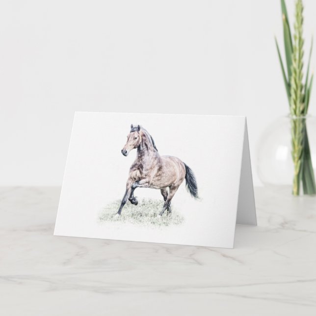 Welsh D Horse Birthday Card Karte (Vorderseite)