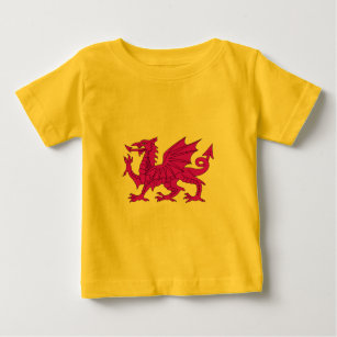 Welsh dragon baby t-shirt