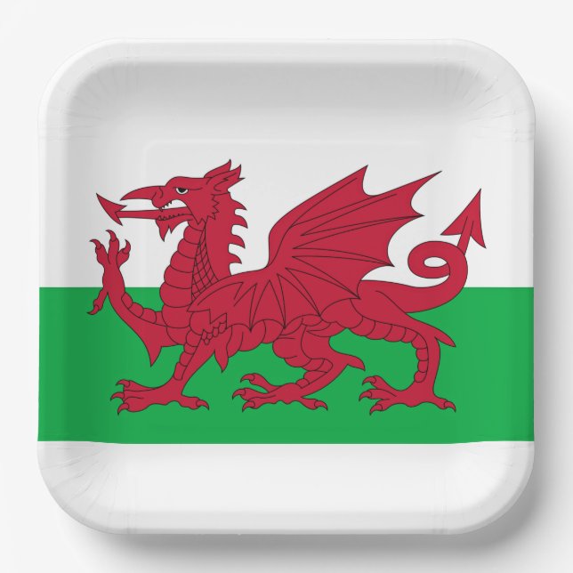 Welsh Dragon ~ Flag Wales Pappteller (Vorderseite)