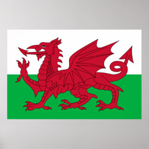 Welsh Dragon ~ Flag Wales Poster