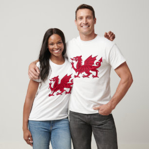Welsh Dragon T - Shirt