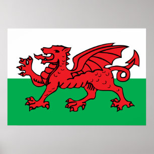 Welsh Flag Poster