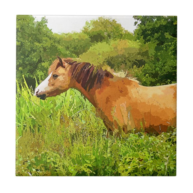 WELSH MOUNTAIN PONY FLIESE (Vorderseite)